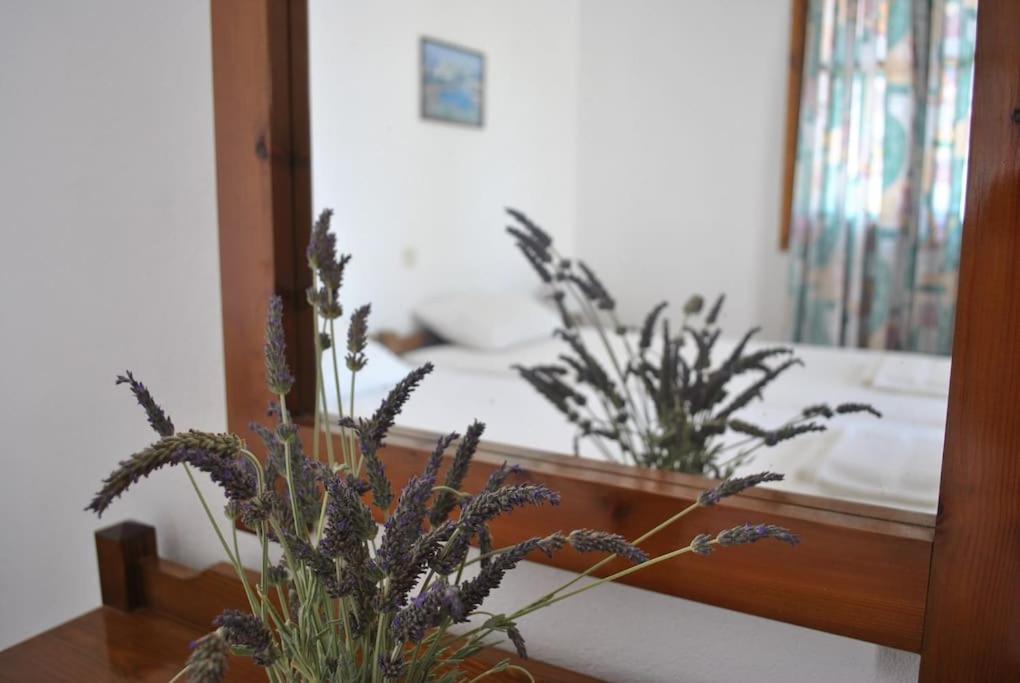 Antigoni Apartments 'Lavender Room' 莫拉托斯 外观 照片