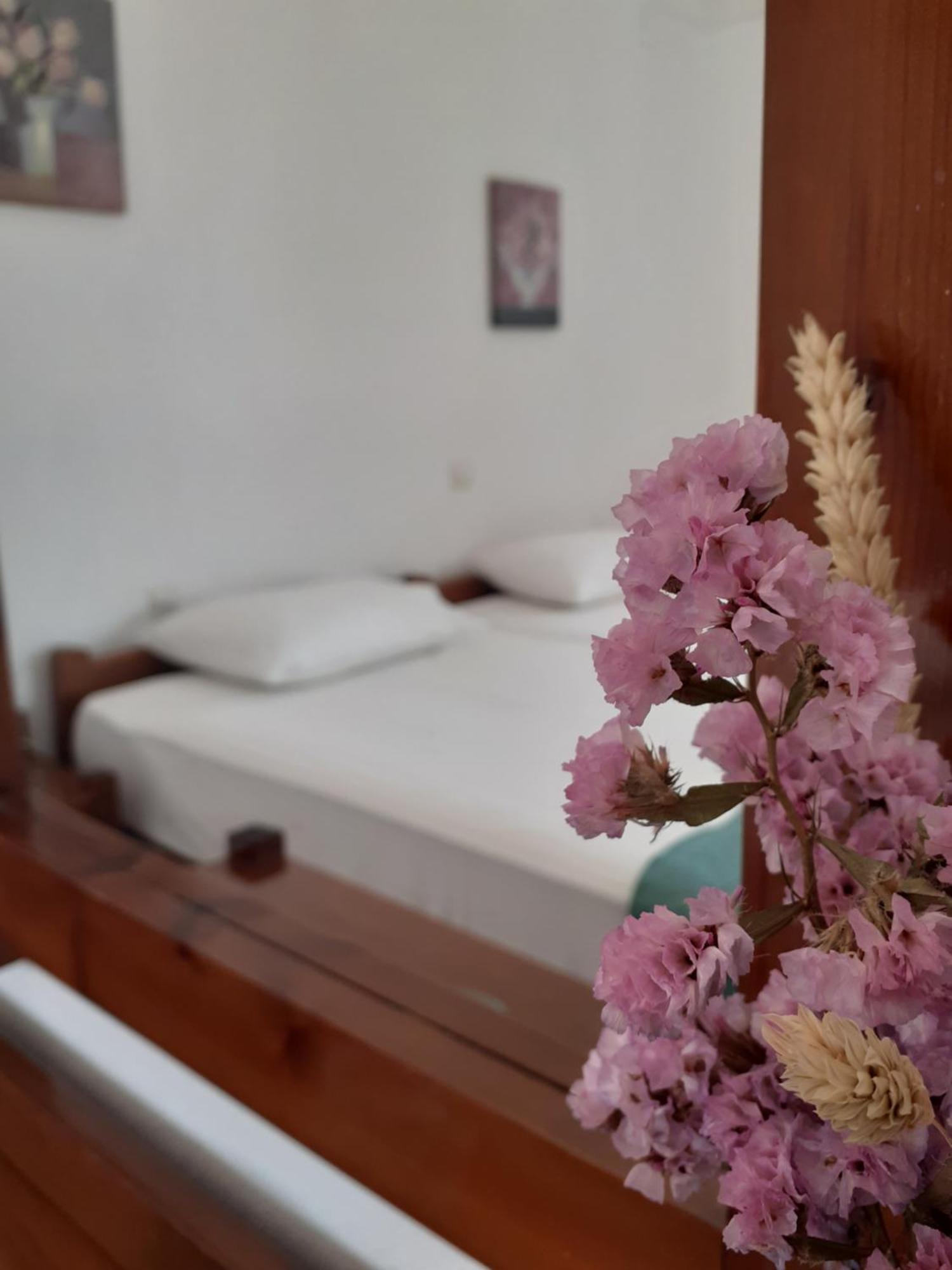 Antigoni Apartments 'Lavender Room' 莫拉托斯 外观 照片